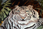 White Tiger Korean Mink Style Blanket – Heavy King & Queen