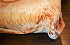 Lion 5 lb Korean Mink Style Blanket – Queen