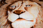 Lion 5 lb Korean Mink Style Blanket – Queen