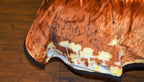 Lion 5 lb Korean Mink Style Blanket – Queen