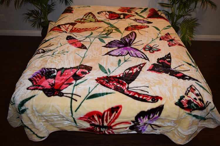 Cream Butterflies 5 lb Korean Mink Style Blanket – Queen