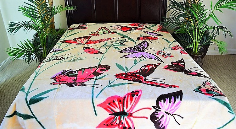 Cream Butterflies 5 lb Korean Mink Style Blanket – Queen