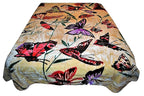 Cream Butterflies 5 lb Korean Mink Style Blanket – Queen