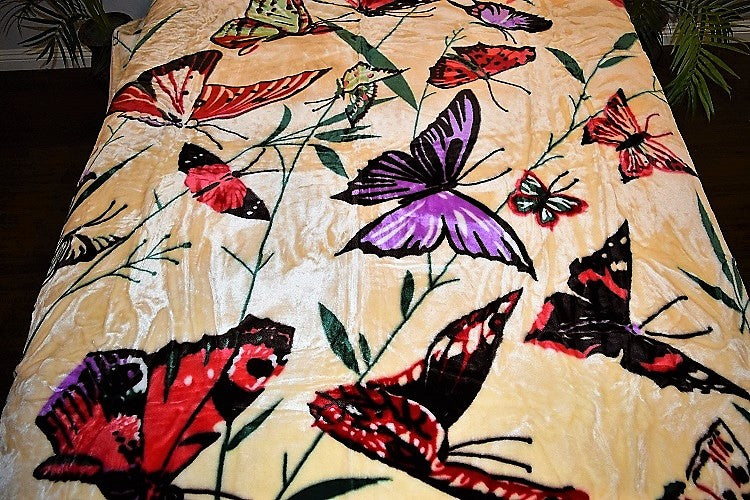 Cream Butterflies 5 lb Korean Mink Style Blanket – Queen