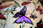 Cream Butterflies 5 lb Korean Mink Style Blanket – Queen