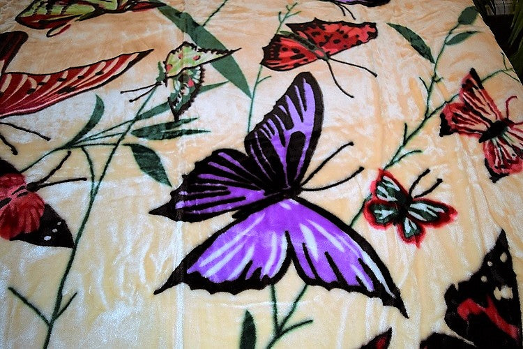 Cream Butterflies 5 lb Korean Mink Style Blanket – Queen