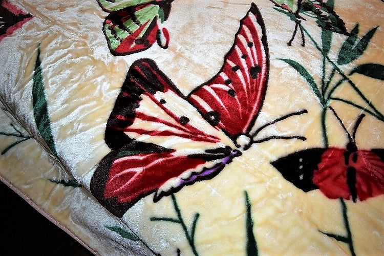 Cream Butterflies 5 lb Korean Mink Style Blanket – Queen