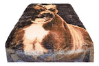 Pit Bull 5 lb Korean Mink Style Blanket – Queen