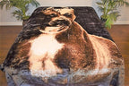Pit Bull 5 lb Korean Mink Style Blanket – Queen