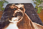 Pit Bull 5 lb Korean Mink Style Blanket – Queen