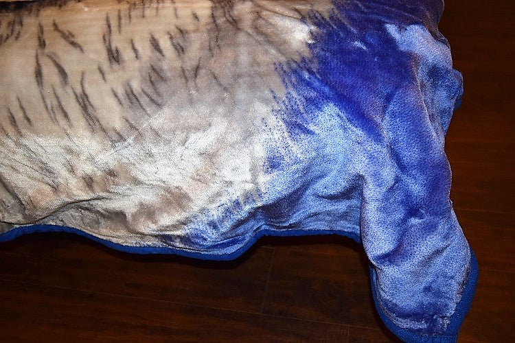 Big Wolf Face Korean Mink Style Blanket – Heavy Queen & Queen