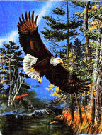 Flying Bald Eagle 6 lb Korean Mink Style Blanket – Queen