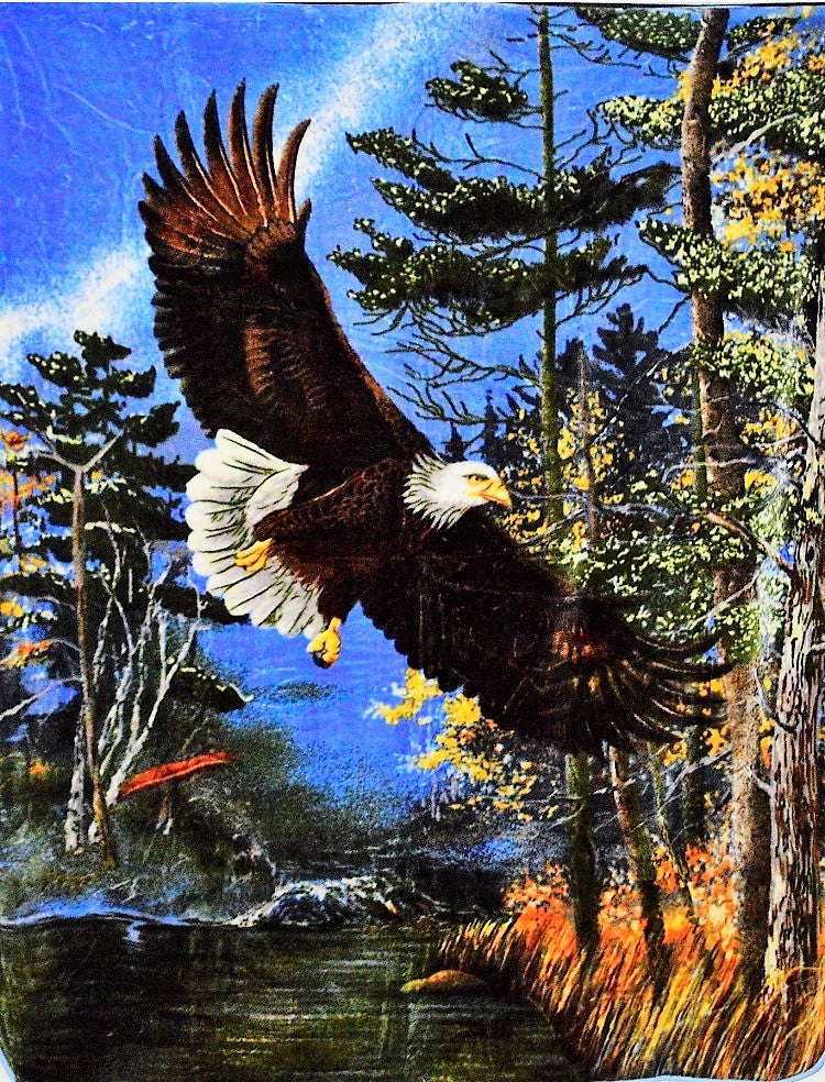 Flying Bald Eagle 6 lb Korean Mink Style Blanket – Queen