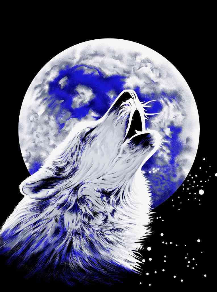 Howling Wolf & Full Moon 5 lb Korean Mink Style Blanket – Queen